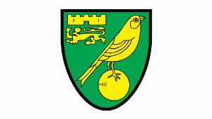 福利多多！諾維奇宣布招聘財(cái)務(wù)會(huì)計(jì)師，要求積極主動(dòng)、善于分析