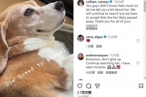 拉姆塞夫婦談愛犬失蹤：會繼續(xù)尋找，但不得不接受狗狗可能離世