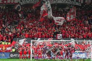 馬德興：海港球迷很少高調(diào)只默默跟隨，沒招惹任何一方更不樹敵