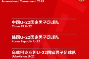 熊貓杯票務(wù)方案：7日晚起售，票價68元至118元