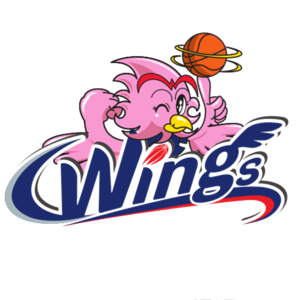 香頌?zāi)g(shù)女籃