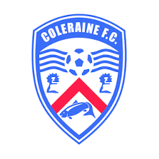 巴利米納后備隊