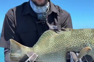 休賽期垂釣高手??西蒙斯社媒曬海釣收獲！直言這回運氣爆棚~