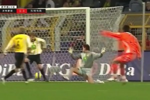 晃倒后衛(wèi)逆足射門！07年德甲邵佳一攻破多特蒙德城門！